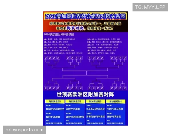 波黑2026世界杯晋级之路分析 黄金一代能否圆梦北美赛场